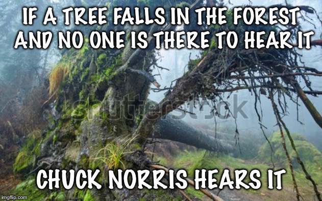 IF A TREE FALLS IN THE FOREST AND NO ONE IS THERE TO HEAR IT; CHUCK NORRIS HEARS IT | image tagged in uprooted | made w/ Imgflip meme maker