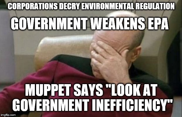 Captain Picard Facepalm Meme | CORPORATIONS DECRY ENVIRONMENTAL REGULATION MUPPET SAYS "LOOK AT GOVERNMENT INEFFICIENCY" GOVERNMENT WEAKENS EPA | image tagged in memes,captain picard facepalm | made w/ Imgflip meme maker