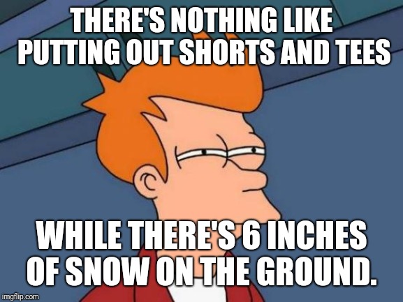 Futurama Fry Meme | THERE'S NOTHING LIKE PUTTING OUT SHORTS AND TEES; WHILE THERE'S 6 INCHES OF SNOW ON THE GROUND. | image tagged in memes,futurama fry | made w/ Imgflip meme maker