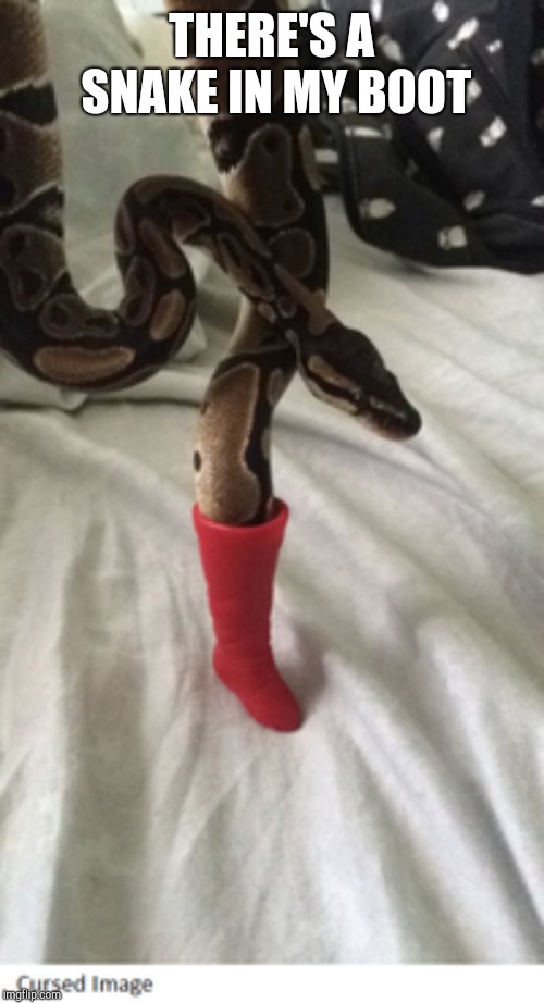 THERE'S A SNAKE IN MY BOOT | image tagged in snake,boots | made w/ Imgflip meme maker