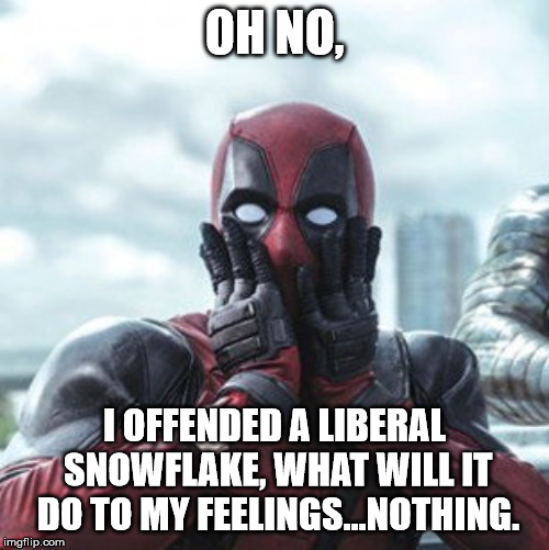 Deadpool - oh no! | OH NO, I OFFENDED A LIBERAL SNOWFLAKE, WHAT WILL IT DO TO MY FEELINGS...NOTHING. | image tagged in deadpool - oh no | made w/ Imgflip meme maker