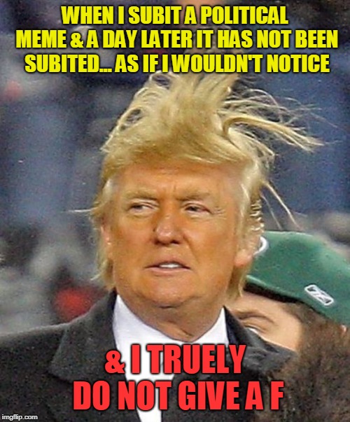 I see you lol | WHEN I SUBIT A POLITICAL MEME & A DAY LATER IT HAS NOT BEEN SUBITED... AS IF I WOULDN'T NOTICE; & I TRUELY DO NOT GIVE A F | image tagged in donald trumph hair,politics,censorship | made w/ Imgflip meme maker