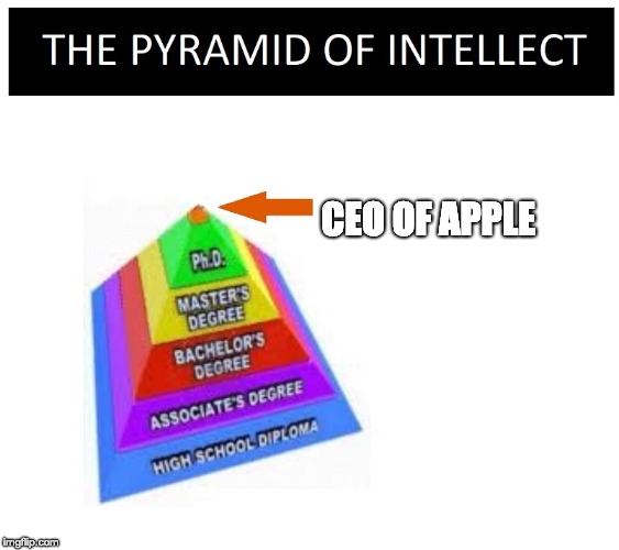 PYRAMID OF INTELLECT BLANK | CEO OF APPLE | image tagged in pyramid of intellect blank | made w/ Imgflip meme maker