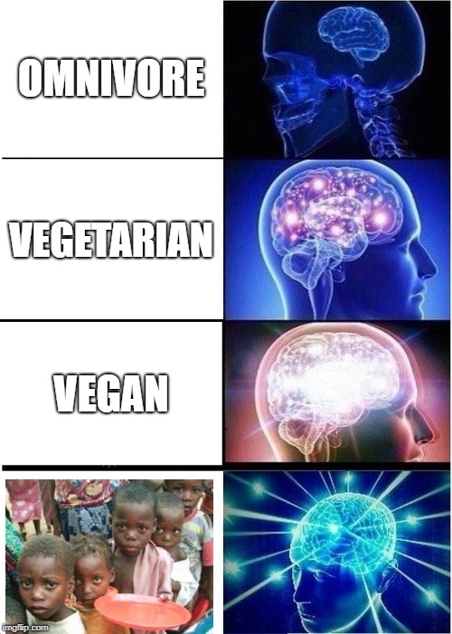 200 IQ Diet | OMNIVORE; VEGETARIAN; VEGAN | image tagged in memes,expanding brain,dark humor,food,africa,vegan | made w/ Imgflip meme maker