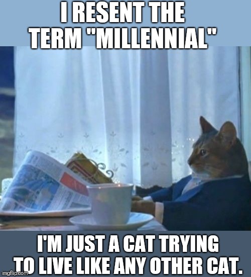 I Should Buy A Boat Cat | I RESENT THE TERM "MILLENNIAL"; I'M JUST A CAT TRYING TO LIVE LIKE ANY OTHER CAT. | image tagged in memes,i should buy a boat cat | made w/ Imgflip meme maker