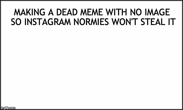 plain white | MAKING A DEAD MEME WITH NO IMAGE SO INSTAGRAM NORMIES WON'T STEAL IT | image tagged in plain white | made w/ Imgflip meme maker