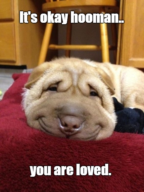 If you're having a bad day, just remember... | It's okay hooman.. you are loved. | image tagged in sweet,dogs,love,dog memes,smile dog | made w/ Imgflip meme maker