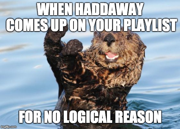 otter celebration | WHEN HADDAWAY COMES UP ON YOUR PLAYLIST; FOR NO LOGICAL REASON | image tagged in otter celebration | made w/ Imgflip meme maker