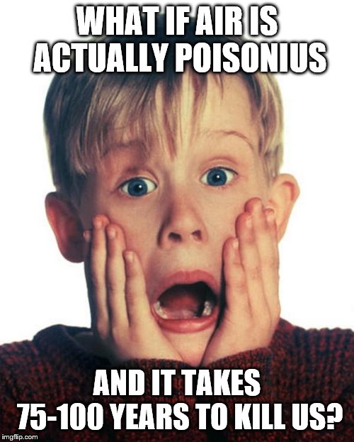 Home Alone Scream | WHAT IF AIR IS ACTUALLY POISONIUS; AND IT TAKES 75-100 YEARS TO KILL US? | image tagged in home alone scream | made w/ Imgflip meme maker