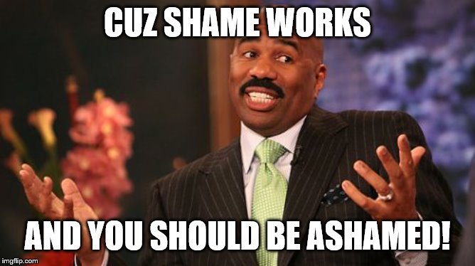 Steve Harvey Meme | CUZ SHAME WORKS AND YOU SHOULD BE ASHAMED! | image tagged in memes,steve harvey | made w/ Imgflip meme maker