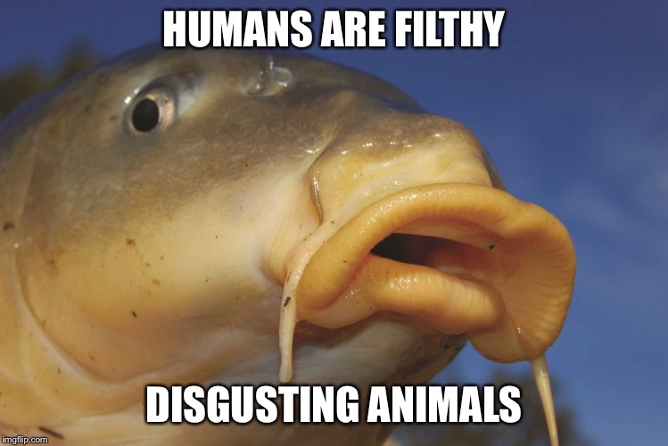 Carp | HUMANS ARE FILTHY DISGUSTING ANIMALS | image tagged in carp | made w/ Imgflip meme maker