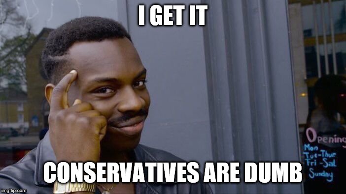 Roll Safe Think About It Meme | I GET IT CONSERVATIVES ARE DUMB | image tagged in memes,roll safe think about it | made w/ Imgflip meme maker