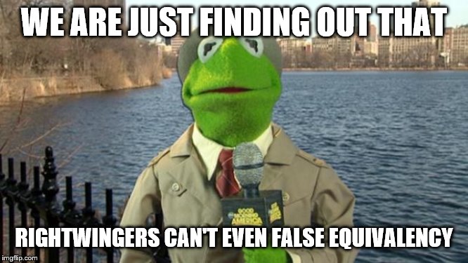 Kermit News Report | WE ARE JUST FINDING OUT THAT RIGHTWINGERS CAN'T EVEN FALSE EQUIVALENCY | image tagged in kermit news report | made w/ Imgflip meme maker