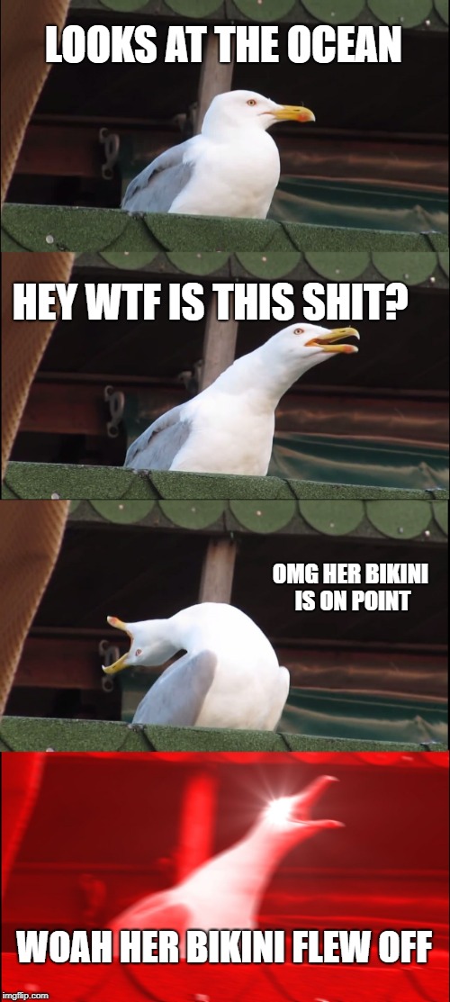 Inhaling Seagull Meme | LOOKS AT THE OCEAN; HEY WTF IS THIS SHIT? OMG HER BIKINI IS ON POINT; WOAH HER BIKINI FLEW OFF | image tagged in memes,inhaling seagull | made w/ Imgflip meme maker