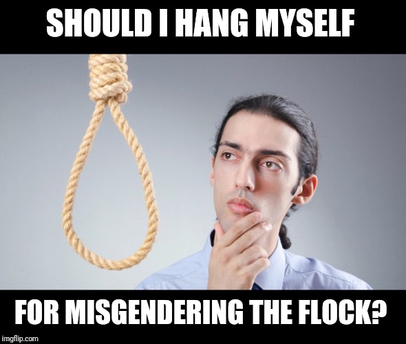 man pondering on hanging himself | SHOULD I HANG MYSELF FOR MISGENDERING THE FLOCK? | image tagged in man pondering on hanging himself | made w/ Imgflip meme maker