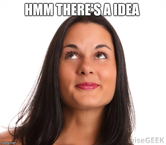 woman smirking | HMM THERE'S A IDEA | image tagged in woman smirking | made w/ Imgflip meme maker