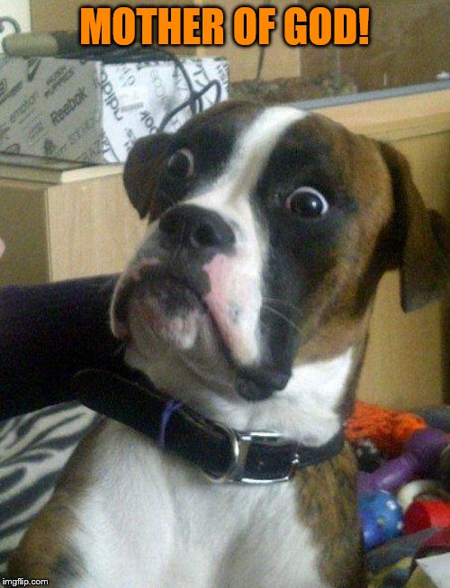 Blankie the Shocked Dog | MOTHER OF GOD! | image tagged in blankie the shocked dog | made w/ Imgflip meme maker