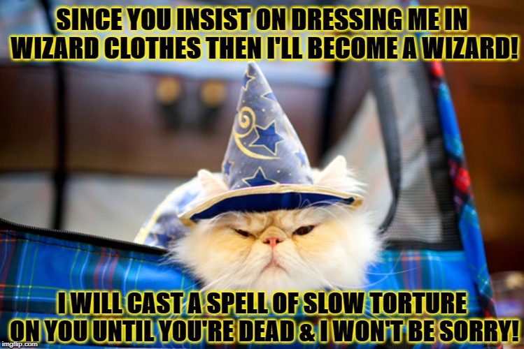 WIZARD CAT | SINCE YOU INSIST ON DRESSING ME IN WIZARD CLOTHES THEN I'LL BECOME A WIZARD! I WILL CAST A SPELL OF SLOW TORTURE ON YOU UNTIL YOU'RE DEAD & I WON'T BE SORRY! | image tagged in wizard cat | made w/ Imgflip meme maker