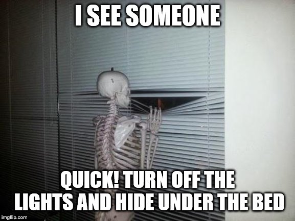 Skeleton Looking Out Window | I SEE SOMEONE QUICK! TURN OFF THE LIGHTS AND HIDE UNDER THE BED | image tagged in skeleton looking out window | made w/ Imgflip meme maker