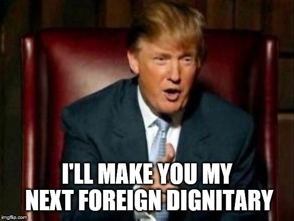 Donald Trump | I'LL MAKE YOU MY NEXT FOREIGN DIGNITARY | image tagged in donald trump | made w/ Imgflip meme maker