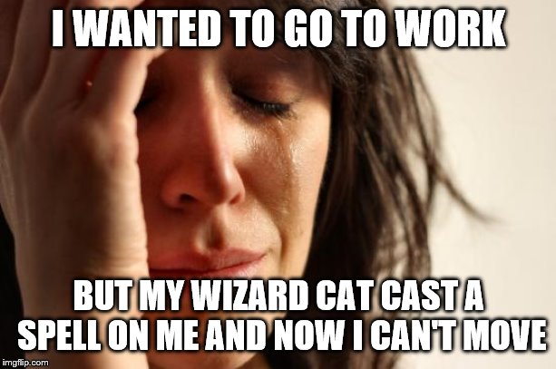 First World Problems Meme | I WANTED TO GO TO WORK BUT MY WIZARD CAT CAST A SPELL ON ME AND NOW I CAN'T MOVE | image tagged in memes,first world problems | made w/ Imgflip meme maker