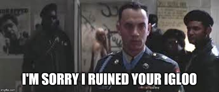 Forrest Gump black panther | I'M SORRY I RUINED YOUR IGLOO | image tagged in forrest gump black panther | made w/ Imgflip meme maker