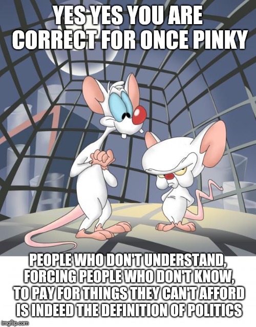 Pinky and the brain | YES YES YOU ARE CORRECT FOR ONCE PINKY; PEOPLE WHO DON'T UNDERSTAND, FORCING PEOPLE WHO DON'T KNOW, TO PAY FOR THINGS THEY CAN'T AFFORD IS INDEED THE DEFINITION OF POLITICS | image tagged in pinky and the brain | made w/ Imgflip meme maker