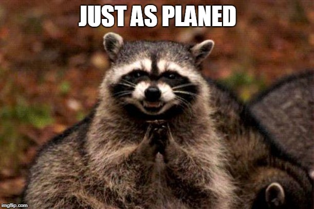Evil Plotting Raccoon Meme | JUST AS PLANED | image tagged in memes,evil plotting raccoon | made w/ Imgflip meme maker