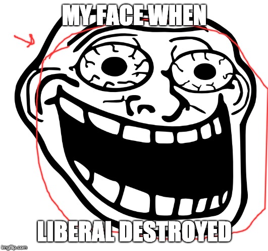 MY FACE WHEN LIBERAL DESTROYED | made w/ Imgflip meme maker