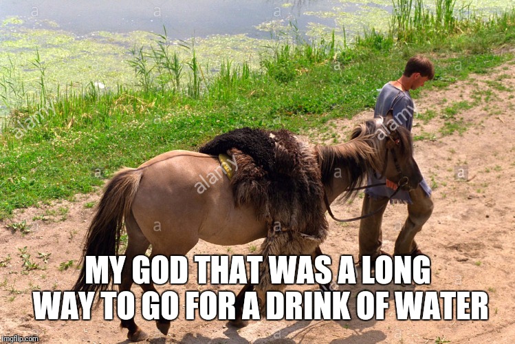 MY GOD THAT WAS A LONG WAY TO GO FOR A DRINK OF WATER | made w/ Imgflip meme maker