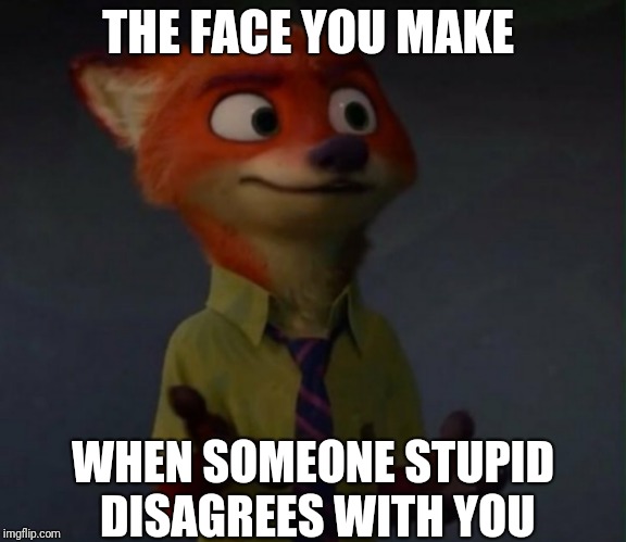 Dumb(founded) Fox | THE FACE YOU MAKE; WHEN SOMEONE STUPID DISAGREES WITH YOU | image tagged in nick wilde really,zootopia,nick wilde,really,funny,memes | made w/ Imgflip meme maker