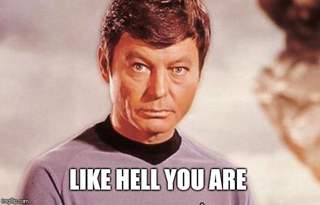 Dr. McCoy | LIKE HELL YOU ARE | image tagged in dr mccoy | made w/ Imgflip meme maker