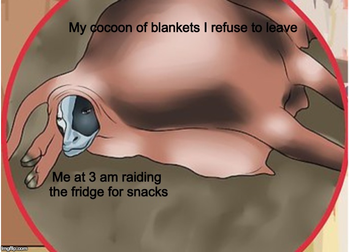 My cocoon of blankets I refuse to leave; Me at 3 am raiding the fridge for snacks | image tagged in smug cow | made w/ Imgflip meme maker