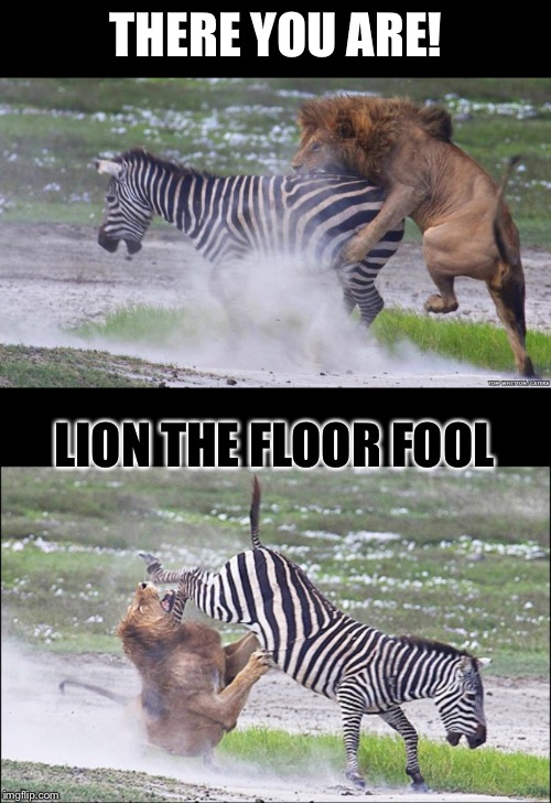 THERE YOU ARE! LION THE FLOOR FOOL | made w/ Imgflip meme maker