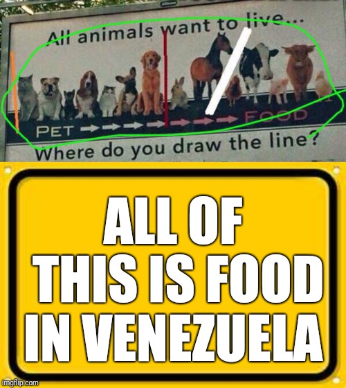 ALL OF THIS IS FOOD IN VENEZUELA | image tagged in memes,blank yellow sign | made w/ Imgflip meme maker