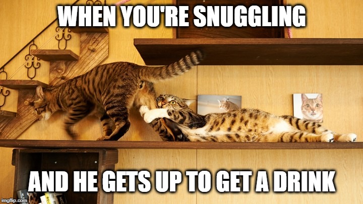 WHEN YOU'RE SNUGGLING AND HE GETS UP TO GET A DRINK | made w/ Imgflip meme maker