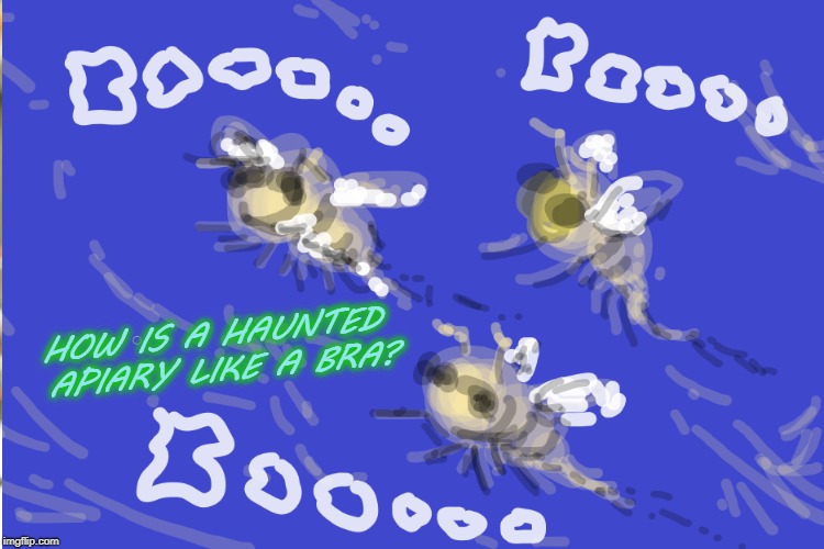 Is this a joke? It's supposed to be a joke but it's not, is it?  | HOW IS A HAUNTED APIARY LIKE A BRA? | image tagged in boobies,that's 12 dolla stupid,colonial insect ghosts | made w/ Imgflip meme maker