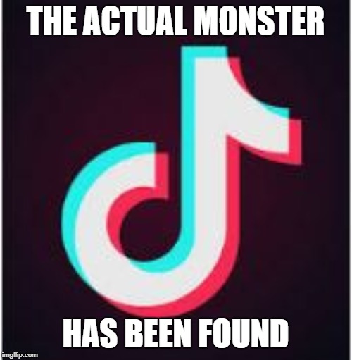 Tik Tok | THE ACTUAL MONSTER HAS BEEN FOUND | image tagged in tik tok | made w/ Imgflip meme maker