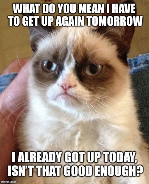 Grumpy Cat Meme | WHAT DO YOU MEAN I HAVE TO GET UP AGAIN TOMORROW; I ALREADY GOT UP TODAY, ISN’T THAT GOOD ENOUGH? | image tagged in memes,grumpy cat | made w/ Imgflip meme maker