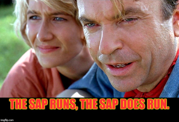 THE SAP RUNS, THE SAP DOES RUN. | made w/ Imgflip meme maker