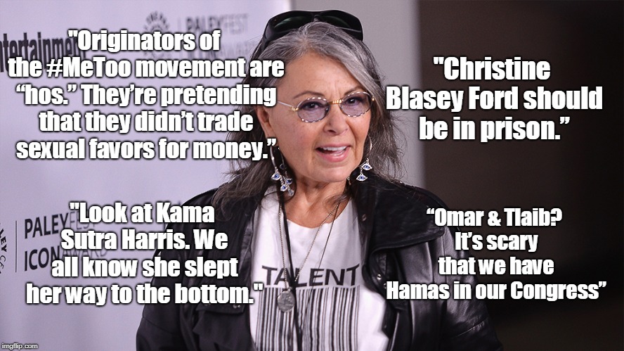 Never cared for her comedy before, but her recent material is fantastic! | "Originators of the #MeToo movement are “hos.” They’re pretending that they didn’t trade sexual favors for money.”; "Christine Blasey Ford should be in prison.”; "Look at Kama Sutra Harris. We all know she slept her way to the bottom."; “Omar & Tlaib? It’s scary that we have Hamas in our Congress” | image tagged in roseanne barr,funny,truth,nonpc | made w/ Imgflip meme maker