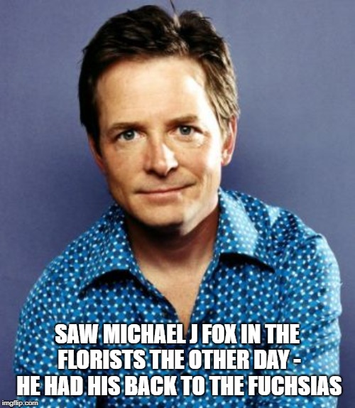 Michael J Fox | SAW MICHAEL J FOX IN THE FLORISTS THE OTHER DAY - HE HAD HIS BACK TO THE FUCHSIAS | image tagged in michael j fox | made w/ Imgflip meme maker