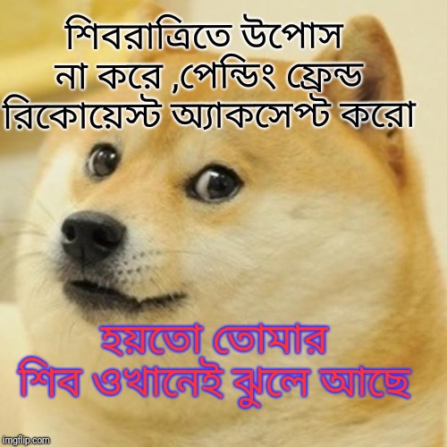 Doge Meme | শিবরাত্রিতে উপোস না করে ,পেন্ডিং ফ্রেন্ড রিকোয়েস্ট অ্যাকসেপ্ট করো; হয়তো তোমার শিব ওখানেই ঝুলে আছে | image tagged in memes,doge | made w/ Imgflip meme maker