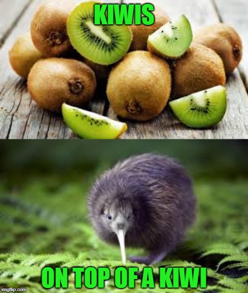 At least it's not a potato  | KIWIS; ON TOP OF A KIWI | image tagged in cravenmoordik,pushing buttons,just a joke | made w/ Imgflip meme maker