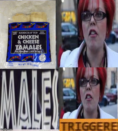 Not even the chicken and cheese tamales are sacred... | image tagged in sjw | made w/ Imgflip meme maker