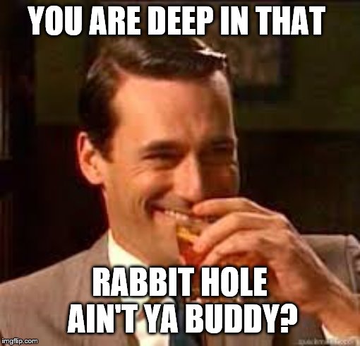 madmen | YOU ARE DEEP IN THAT RABBIT HOLE AIN'T YA BUDDY? | image tagged in madmen | made w/ Imgflip meme maker