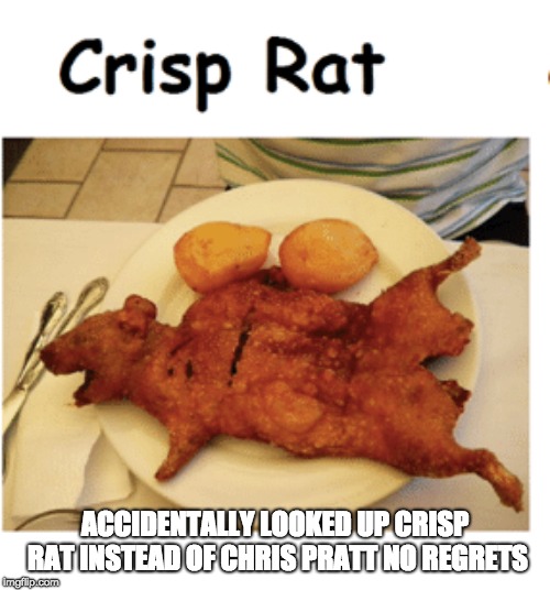 crisp rat | ACCIDENTALLY LOOKED UP CRISP RAT INSTEAD OF CHRIS PRATT
NO REGRETS | image tagged in crisp,rat,crisp rat,chris prat,big titties | made w/ Imgflip meme maker