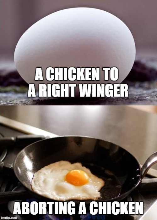 klm egg | A CHICKEN TO A RIGHT WINGER; ABORTING A CHICKEN | image tagged in klm egg | made w/ Imgflip meme maker