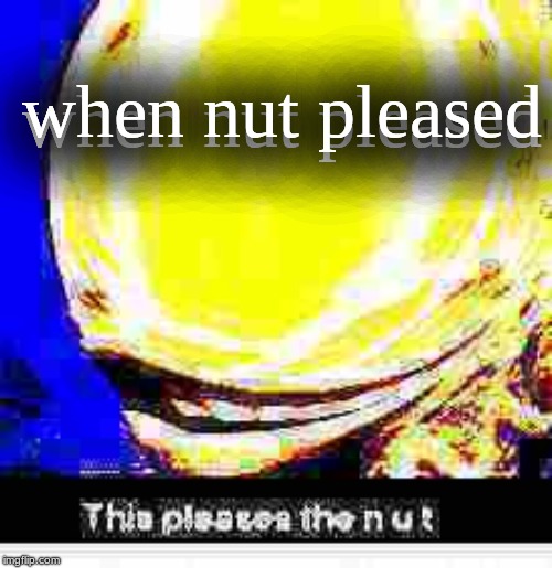NUT | when nut pleased; when nut pleased | image tagged in nut | made w/ Imgflip meme maker