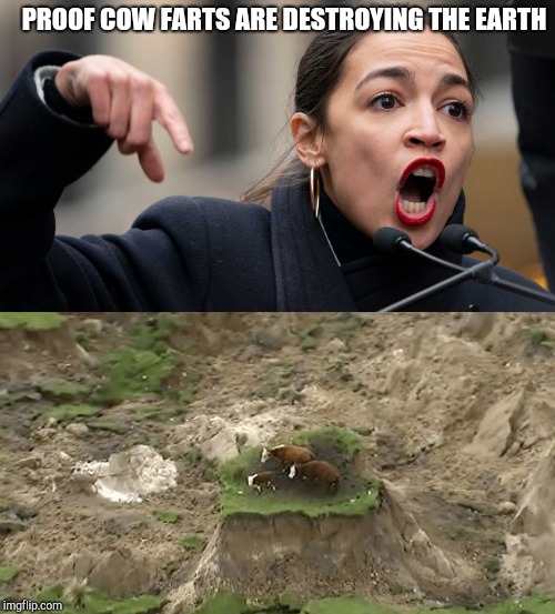 Crazy Alexandria Ocasio-Cortez | PROOF COW FARTS ARE DESTROYING THE EARTH | image tagged in new zealand earthquake cows/2016 cows,crazy alexandria ocasio-cortez | made w/ Imgflip meme maker